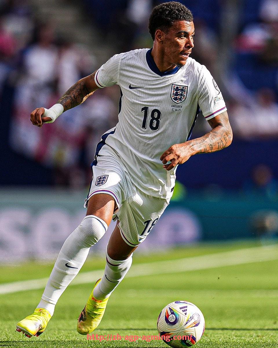 AG娱乐登录-德甲球队的历史性事件：赛季中的惊喜与遗憾