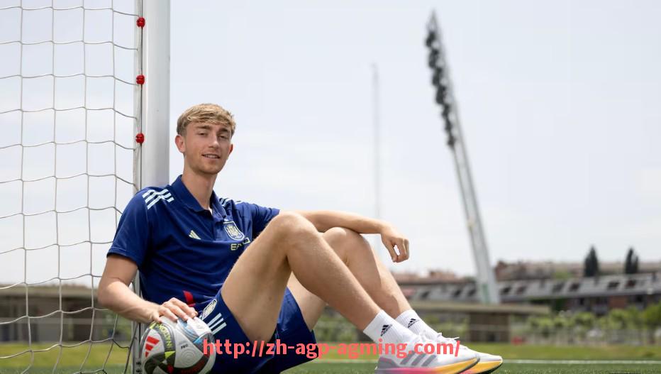 AG娱乐登录-意甲球队裁军计划及球员调整情况解析