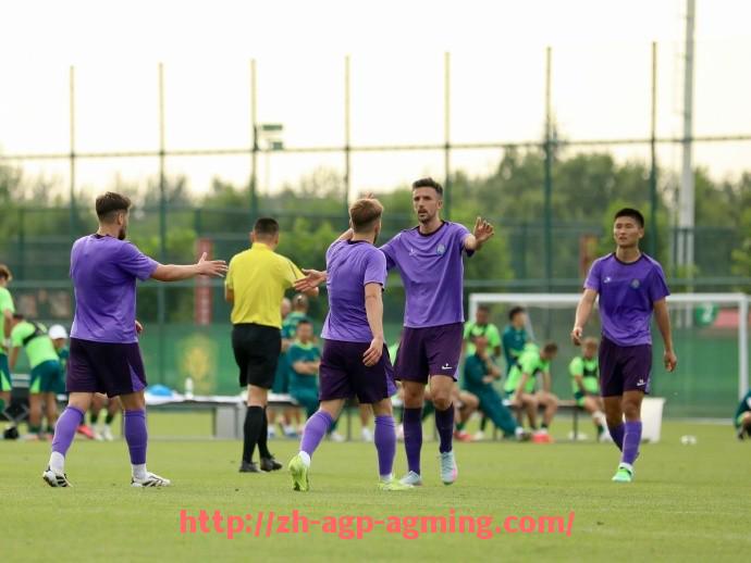 AG娱乐登录-金融危机背景下绿茵资本对2009赛季意甲球队估值的全面分析