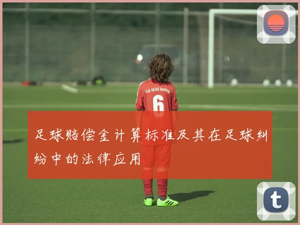 足球赔偿金计算标准及其在足球纠纷中的法律应用