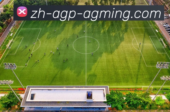 多媒体互动体验