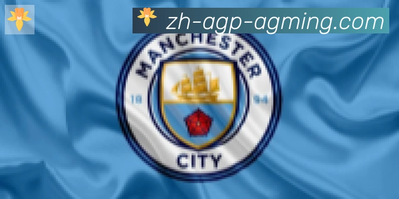 AG娱乐登录合作伙伴
